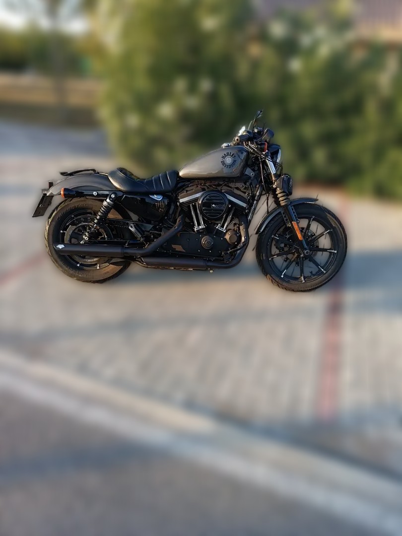2020 Harley-Davidson Sportster 883 - 20 000 km