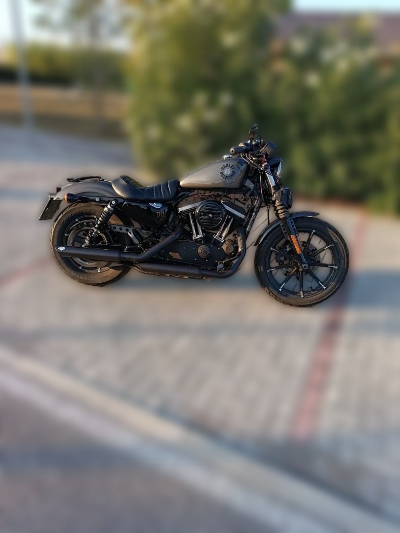 2020 Harley-Davidson Sportster 883 - 20 000 km - Náhled 4