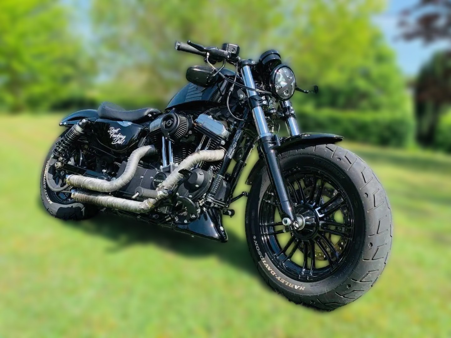 2016 Harley-Davidson Sportster 1200 - 10 500 km - Náhled 8