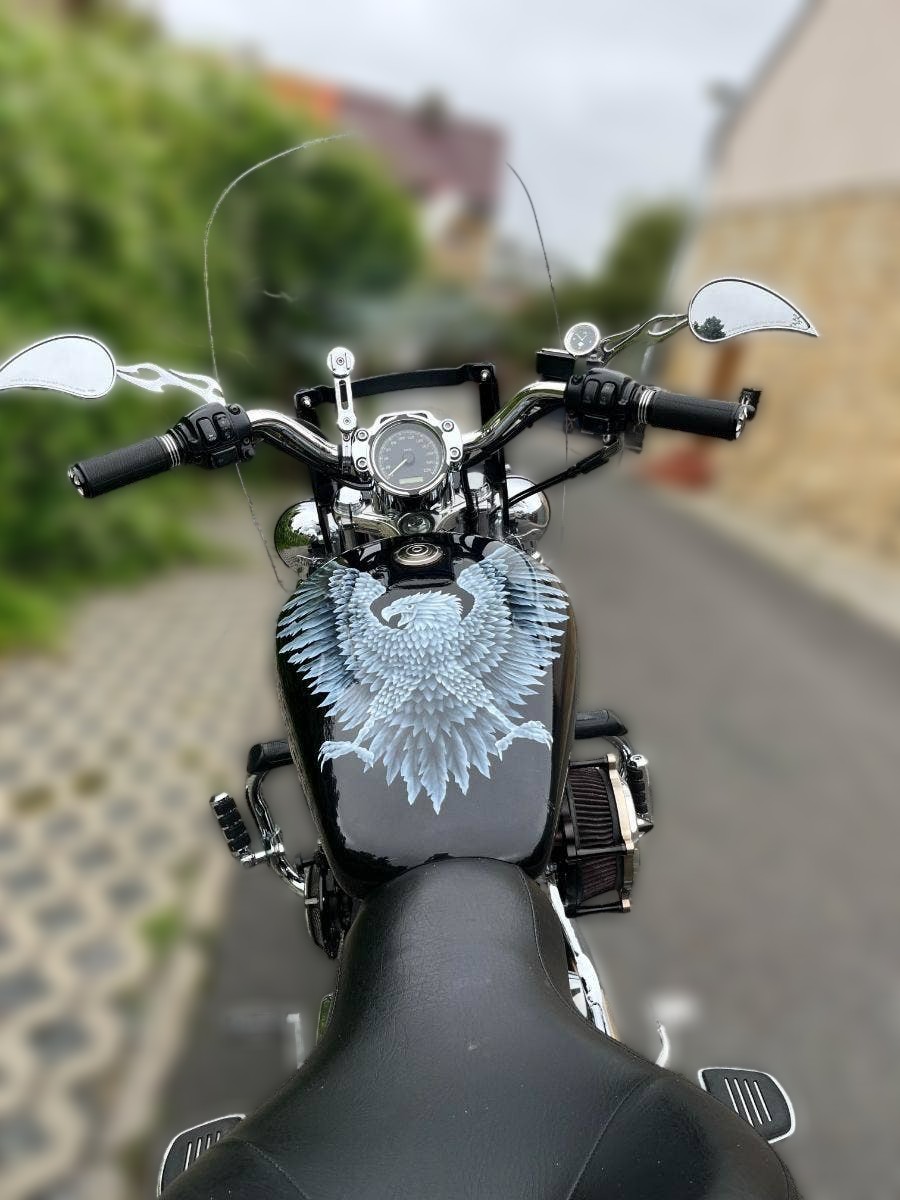 2002 Harley-Davidson Sportster 1200 - 37 565 km - Náhled 16
