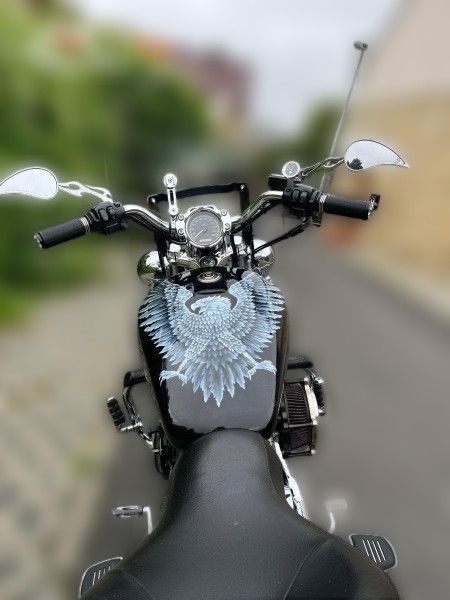 2002 Harley-Davidson Sportster 1200 - 37 565 km - Náhled 22