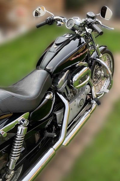 2004 Harley-Davidson Sportster 883 - 32 000 km - Náhled 17