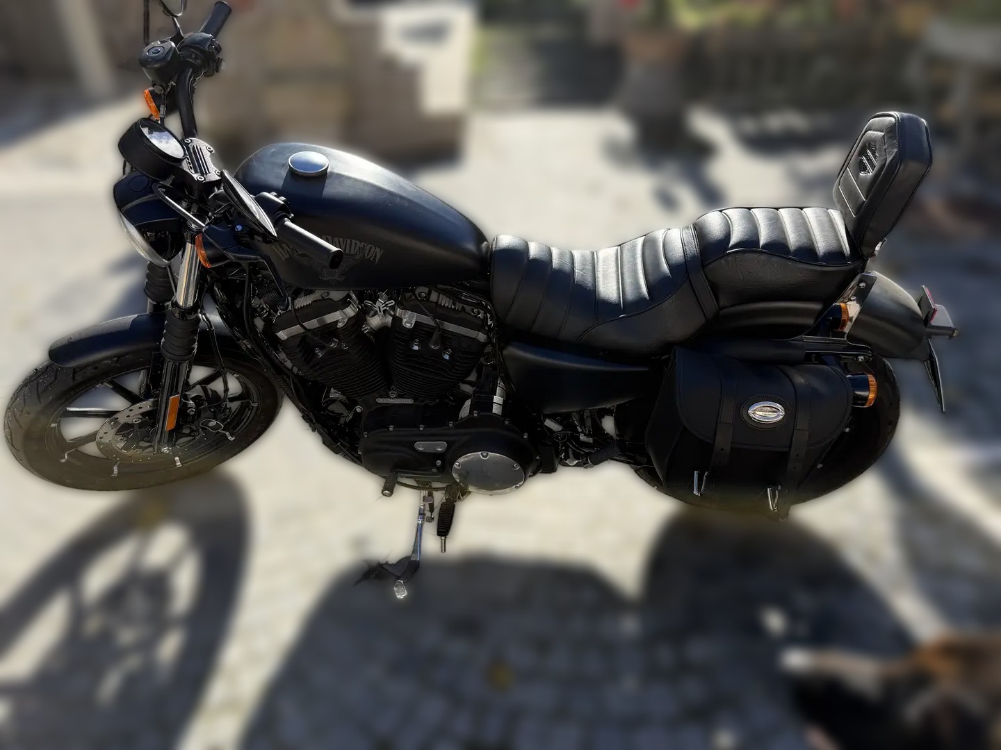 2017 Harley-Davidson Sportster 883 - 1 685 km - Náhled 6