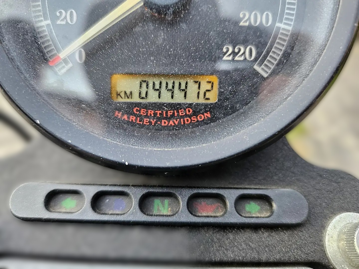 2005 Harley-Davidson Sportster 883 - 44 000 km - Náhled 8