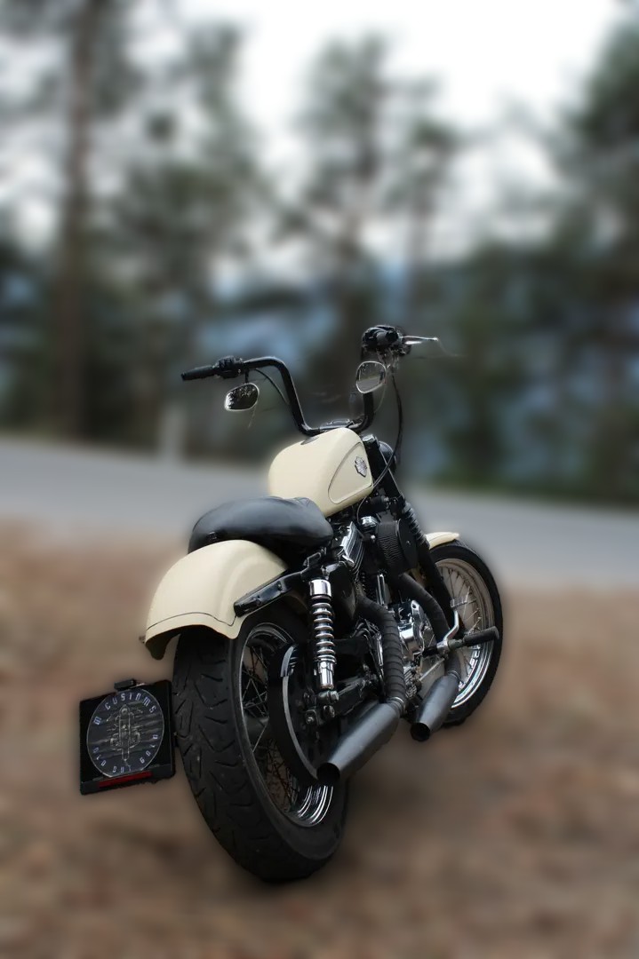 1999 Harley-Davidson Sportster 1200 - 89 406 km - Náhled 5