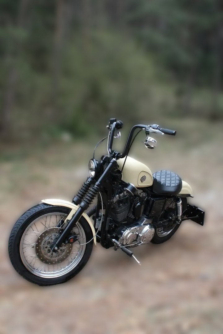 1999 Harley-Davidson Sportster 1200 - 89 406 km - Náhled 11