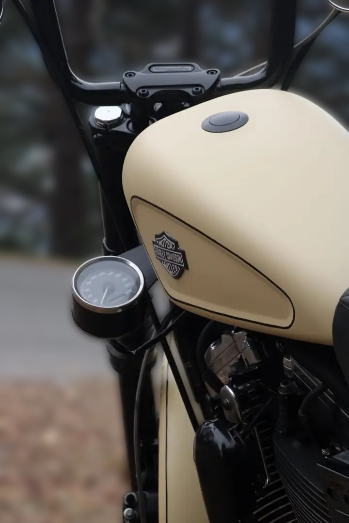 1999 Harley-Davidson Sportster 1200 - 89 406 km - Náhled 12
