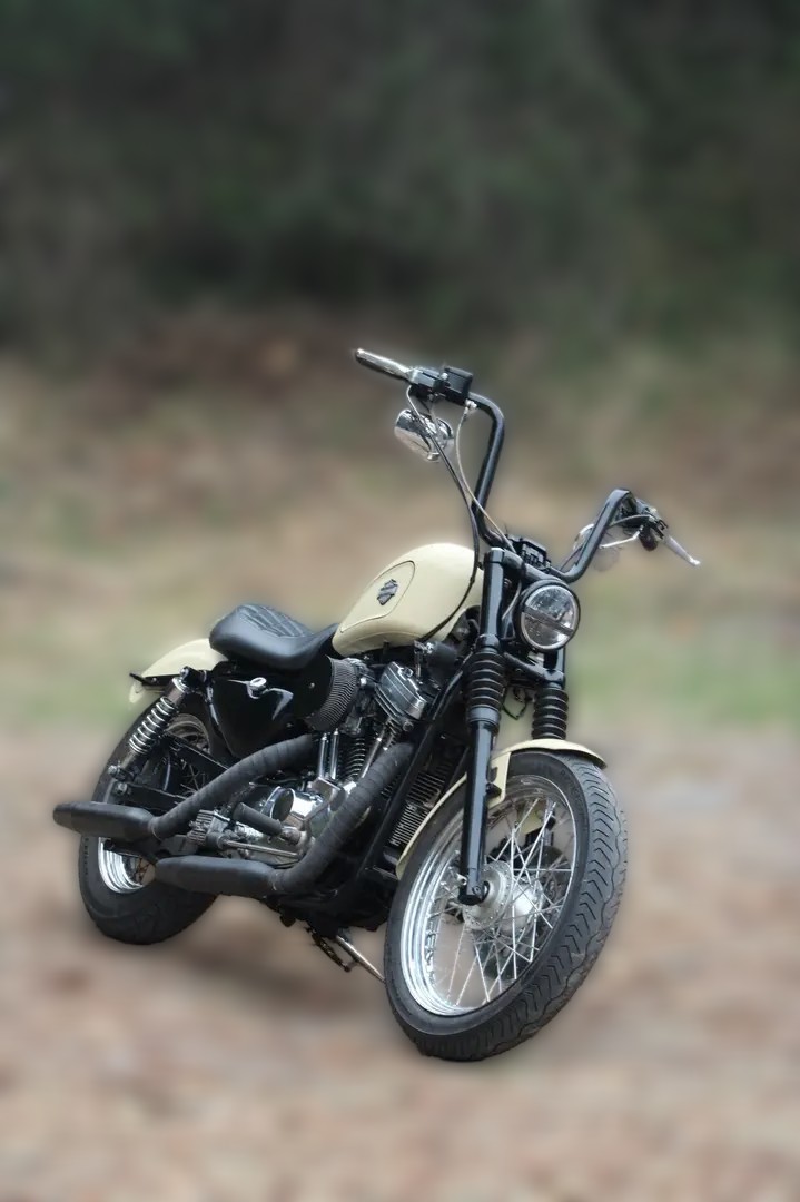 1999 Harley-Davidson Sportster 1200 - 89 406 km - Náhled 13