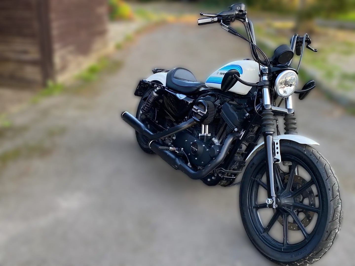 2019 Harley-Davidson Sportster 1200 - 17 500 km - Náhled 8