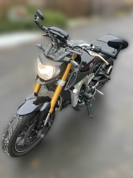 2014 Yamaha MT-09 - 47 000 km - Náhled 7