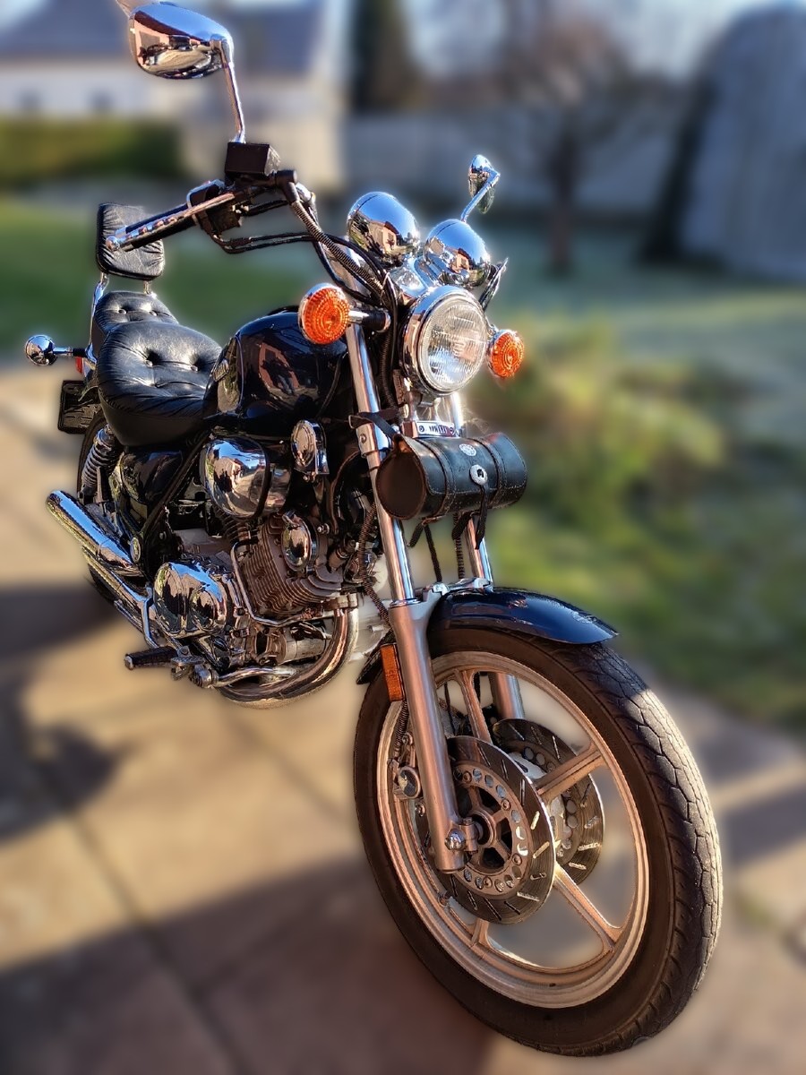 1991 Yamaha Virago - 35 600 km - Náhled 5