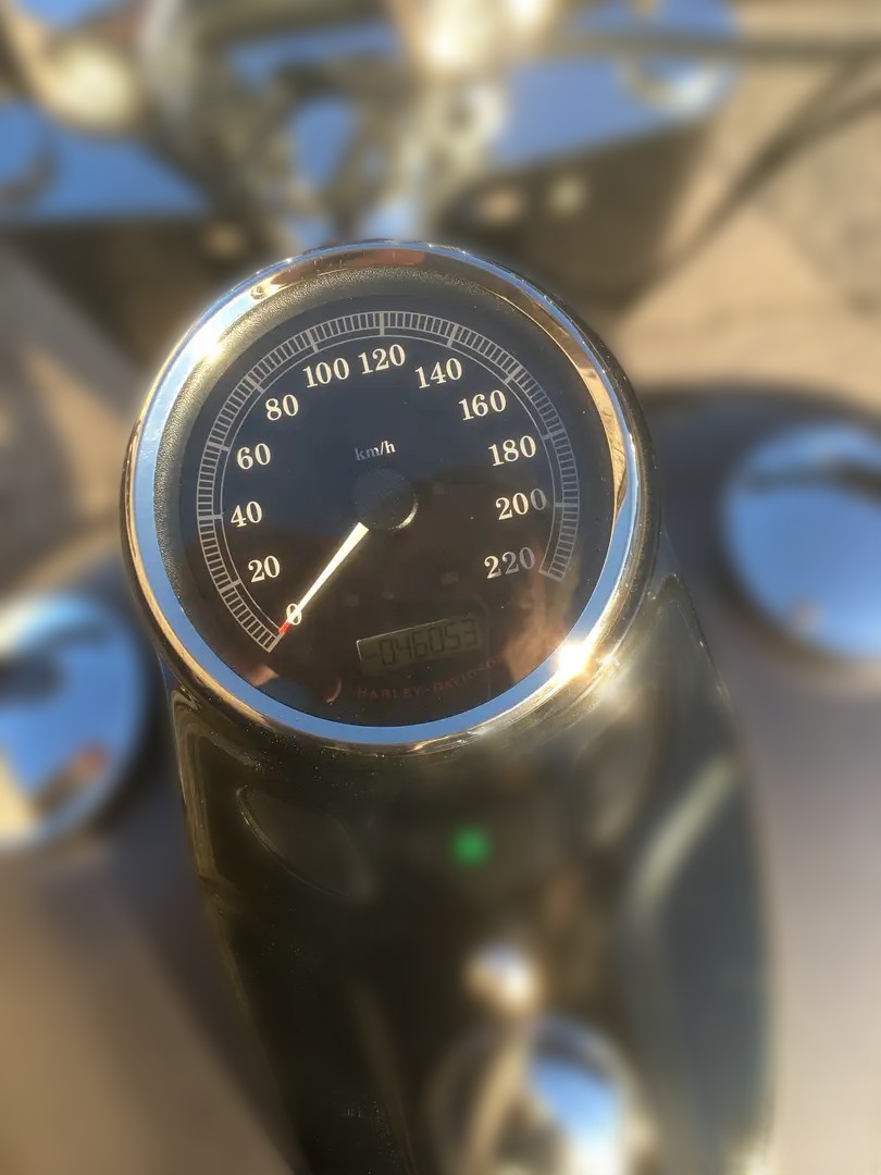 2014 Harley-Davidson Harley-Davidson Softail - 46 500 km - Náhled 3