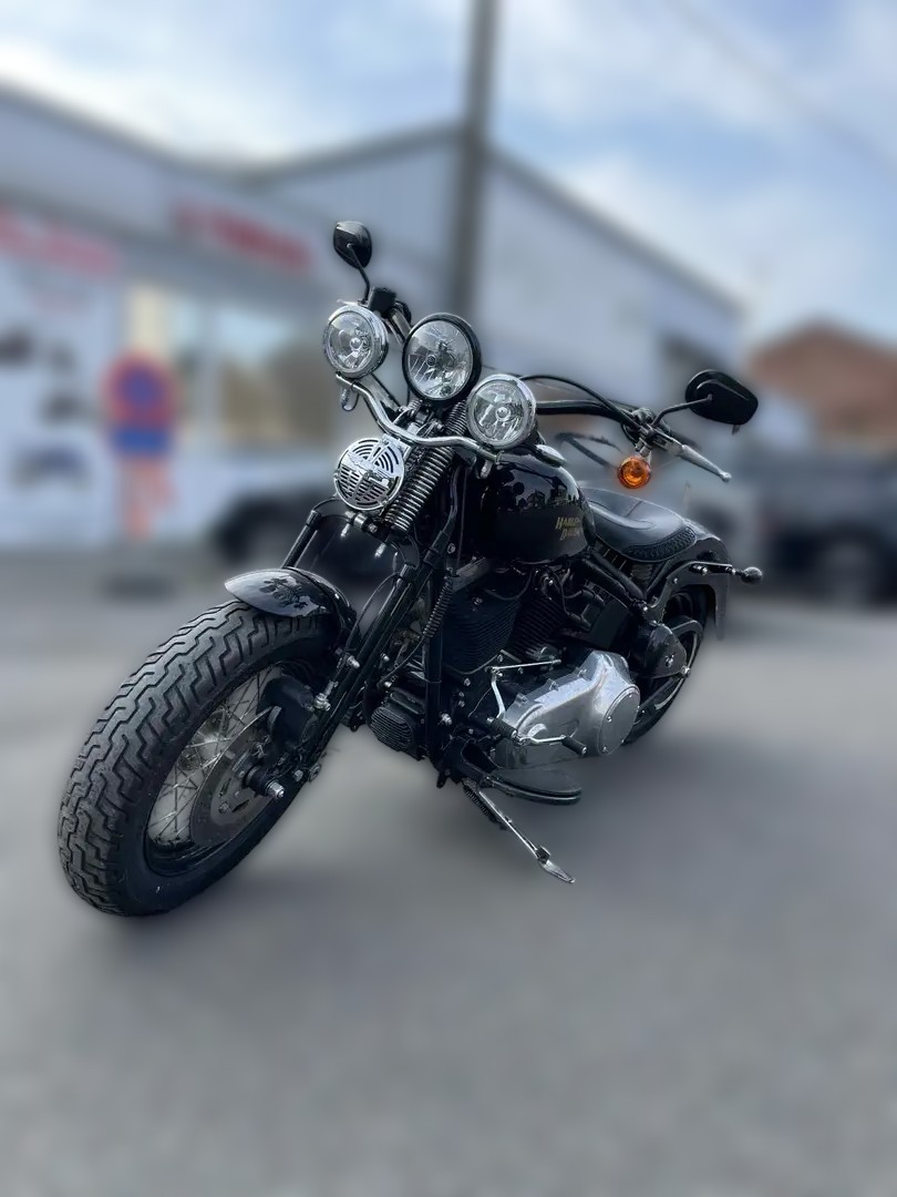 2010 Harley-Davidson Harley-Davidson Softail - 13 000 km - Náhled 5
