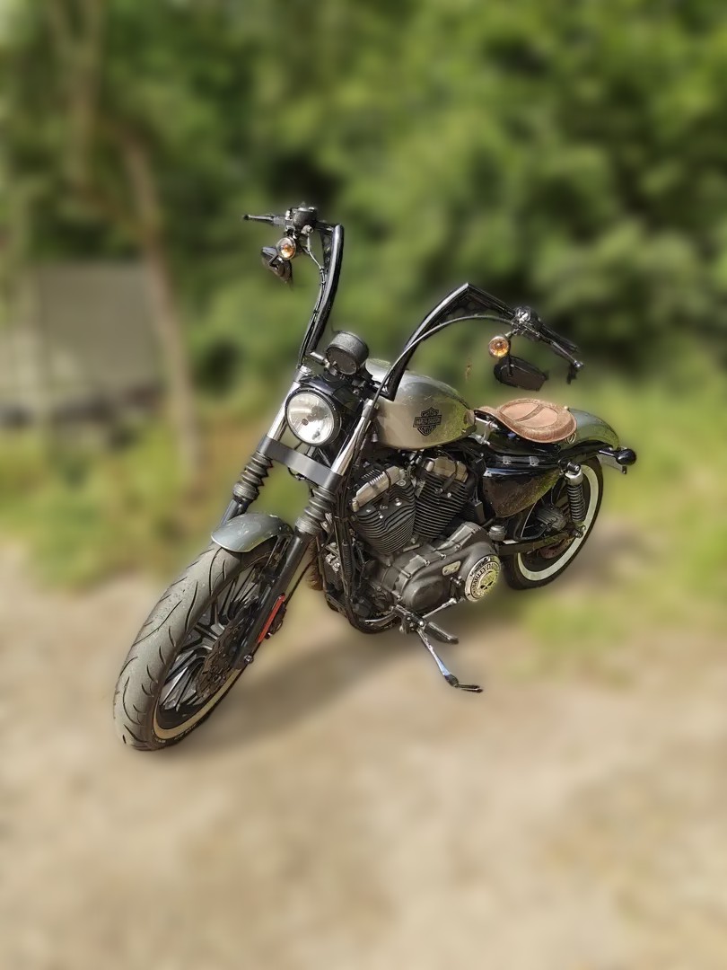 2011 Harley-Davidson Sportster 1200 - 42 870 km