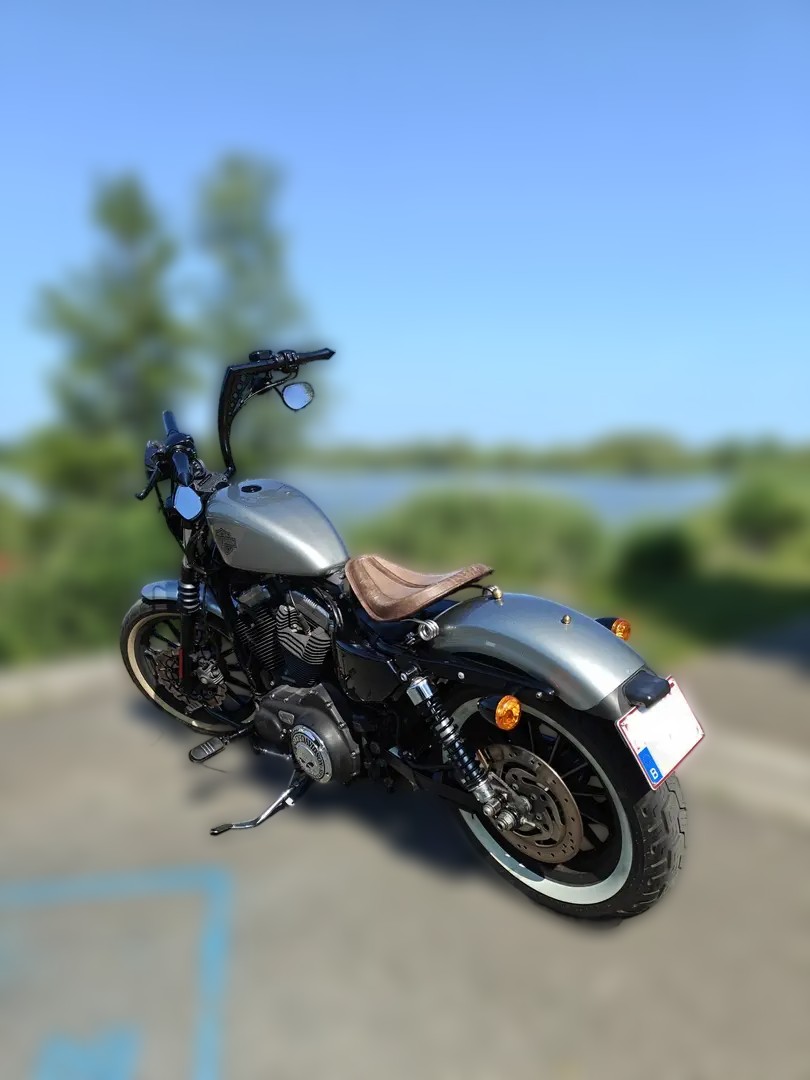2011 Harley-Davidson Sportster 1200 - 42 870 km - Náhled 10