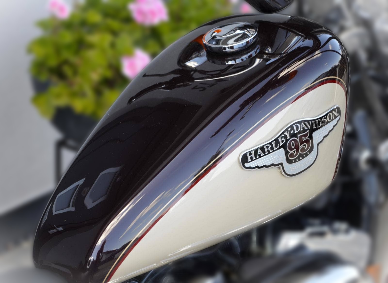 1998 Harley-Davidson Sportster 1200 - 16 093 km - Náhled 9